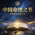 命之书 — 16维专业命理深度解读